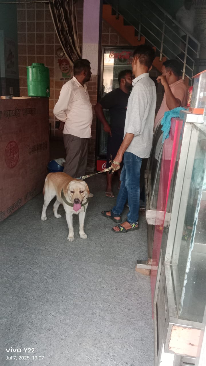 To catch the drug smugglers and recover the drugs, Anti Narcotics Cell conducted a search operation in village Lohari, Moth Rangdan and Moth Kernel along with the dog squad team.